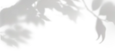 get_jv11347155_191213_st_sa_01
