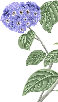 get_jv11347885_191118_st_sa_03