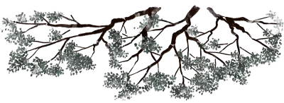 get_jv11194822_st_gnkim_12