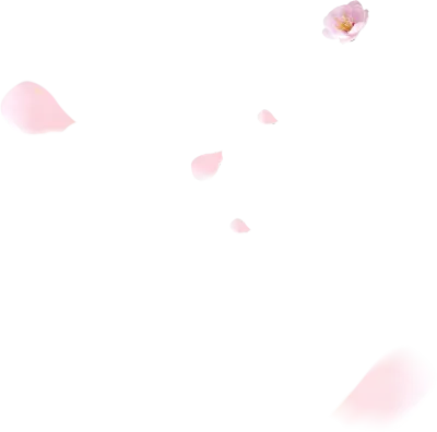 uto_21024618_191216_st_sa_04