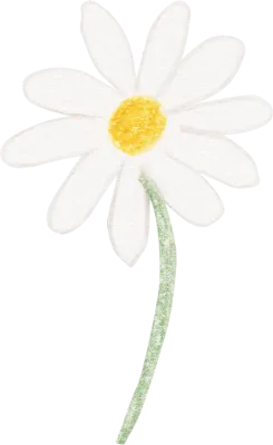 uto_21043841_200130_st_in_55