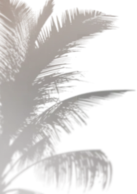 get_jv11338204_191212_st_sa_05