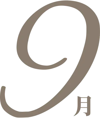 biz_190831_st_js_18