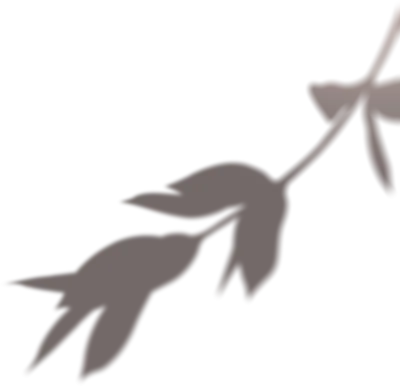 get_jv11338208_191212_st_sa_03