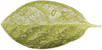 get_jv11115595_200225_st_sa_16