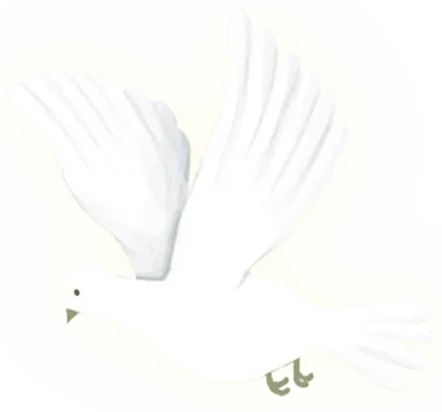 get_jv12016495_200520_st_sh_13