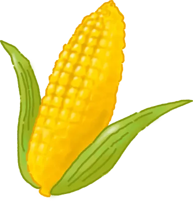 uni_210906_st_bn_13