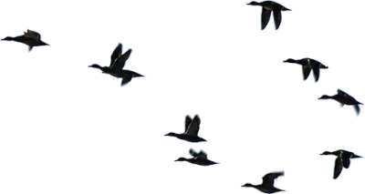 get_jv11178704_201204_st_db_07