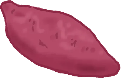 uni_210906_st_bn_02
