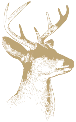 get_1273673955_st_ejk_01