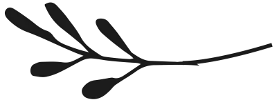 get_1269825071_200925_st_say_04
