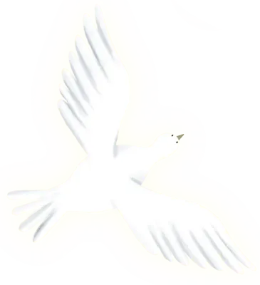 get_jv12016495_200520_st_sh_14