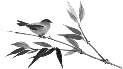 get_484465968_201102_st_say_01