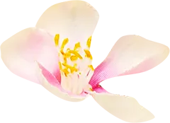 get_jv11348450_201228_st_ye_05