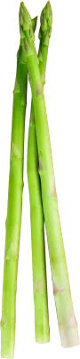 아스파라거스
