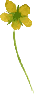 수채화로 그린 꽃