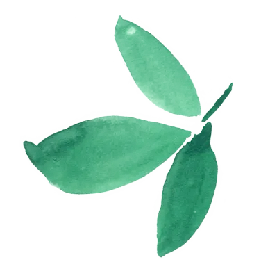 세 갈래 나뭇잎