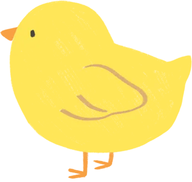 병아리