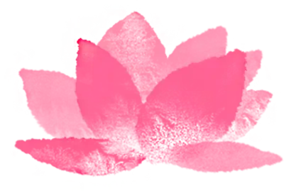 연꽃