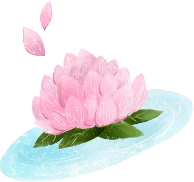 연꽃