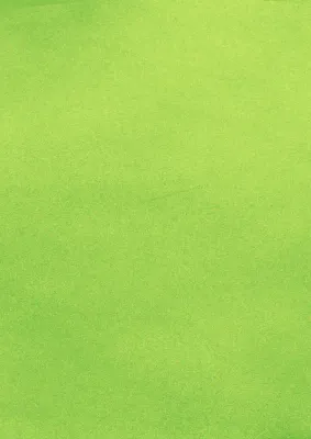 초록 배경