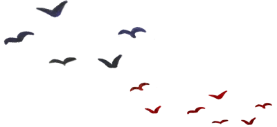 철새