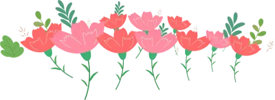 카네이션