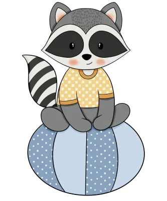 Raccoon-23