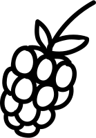베리