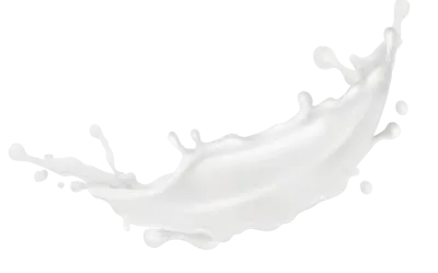 역동적인 흰우유