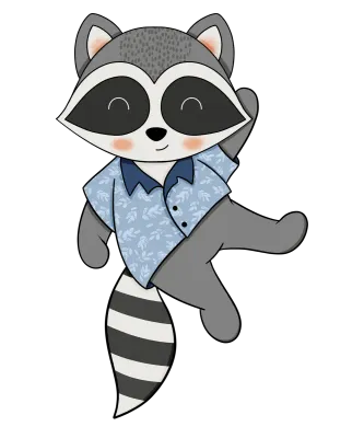 Raccoon-7