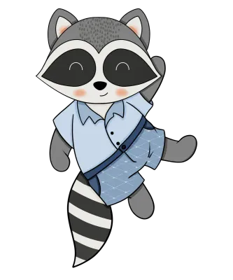 Raccoon-9