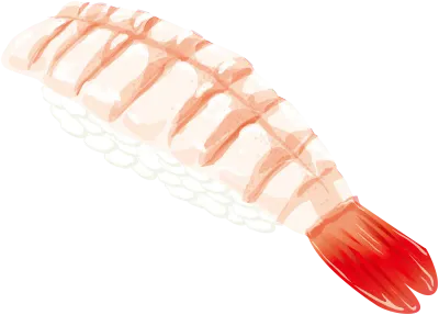 맛있는 스시 일러스트