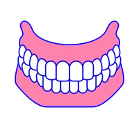 치과치료 치아