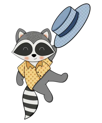 Raccoon-8