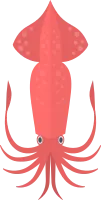 오징어