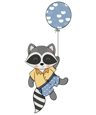Raccoon-10