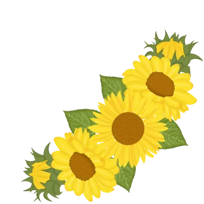 Sun flower-4