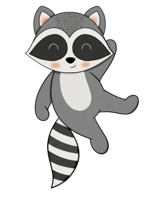 Raccoon-5