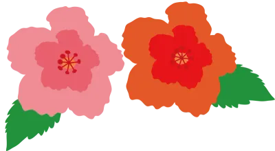 꽃