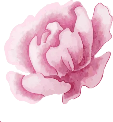 peony flower28
