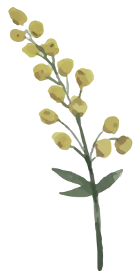 꽃 수채화느낌