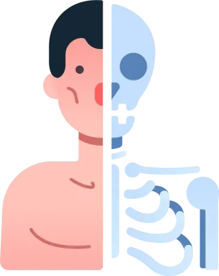 사람의 몸