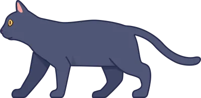 cat13