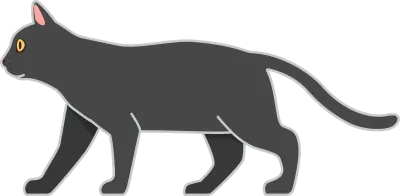 cat15