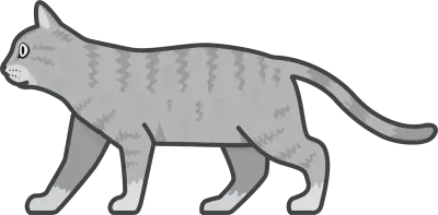 cat2