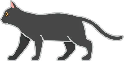 cat7