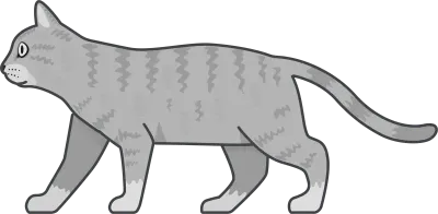 cat10