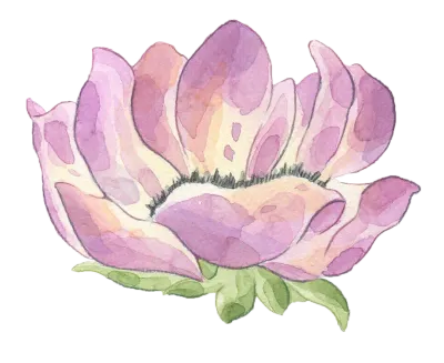 FLOWER-WATERCOLOR-322