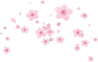 벚꽃